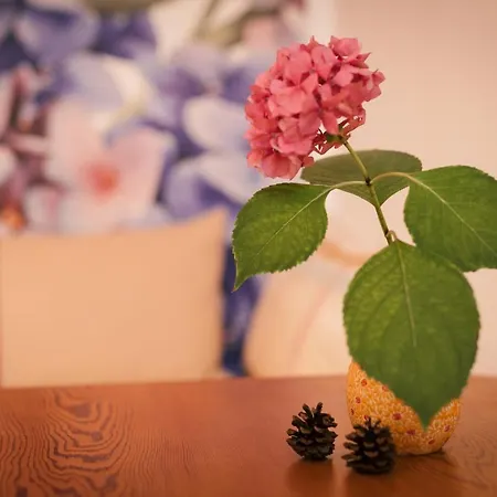 Marwa - Eine Ruheoase Im Gruenen