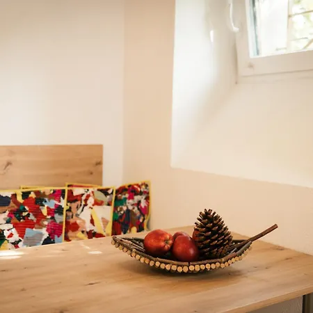 Séjour chez l'habitant Marwa - Eine Ruheoase Im Gruenen Innsbruck